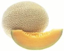 Cantaloup